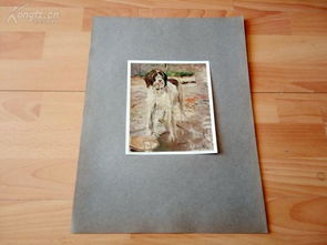 最新上架 維多利亞之美 西洋版畫屋 孔夫子舊書網(wǎng)