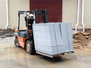 圖 東西湖荷包湖叉車出租 全方位貨物裝卸、工廠搬遷與設(shè)備拆裝服務(wù)